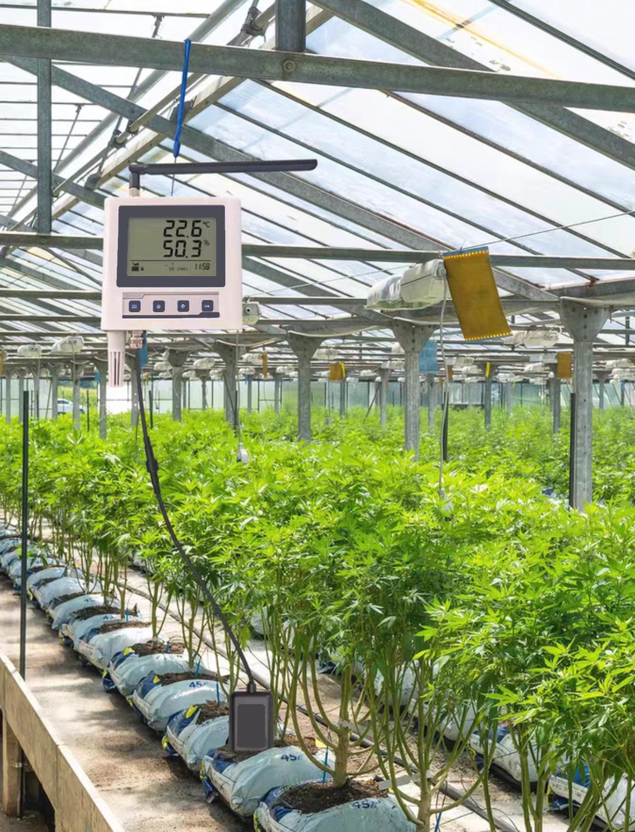 a3b0ba5371f76f15eda55a996d294380.jpg a3b0ba5371f76f15eda55a996d294380.jpg